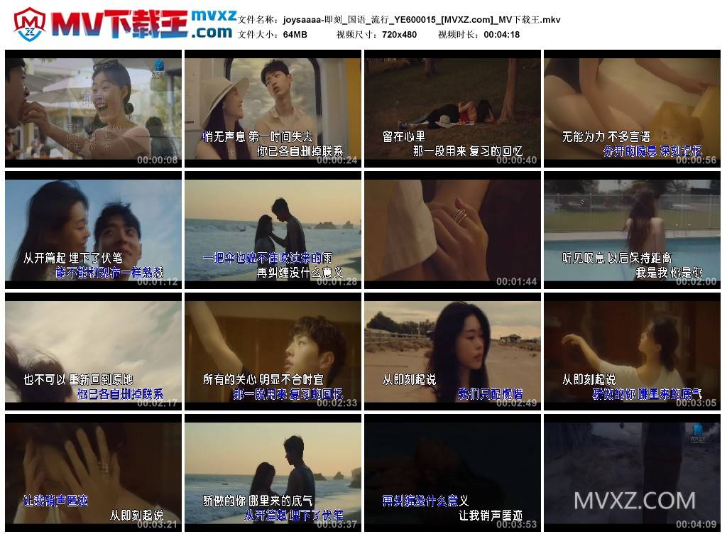 joysaaaa-即刻_国语_流行_YE600015